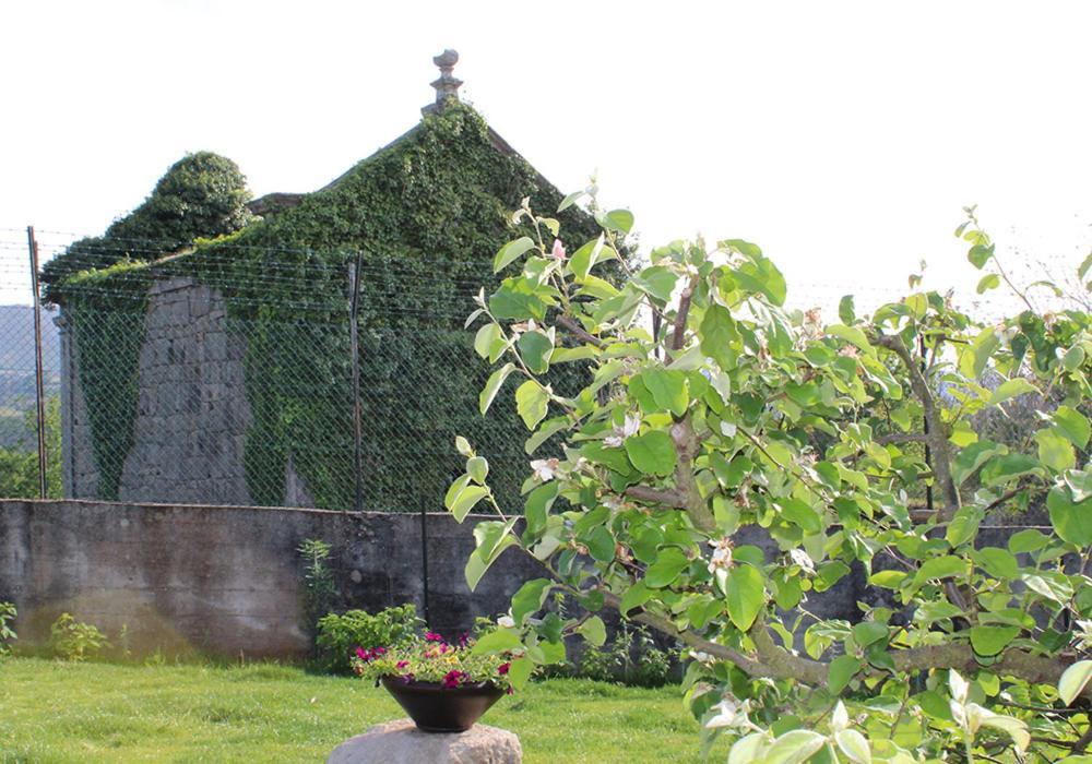 Villa Casa D'Amares Extérieur photo